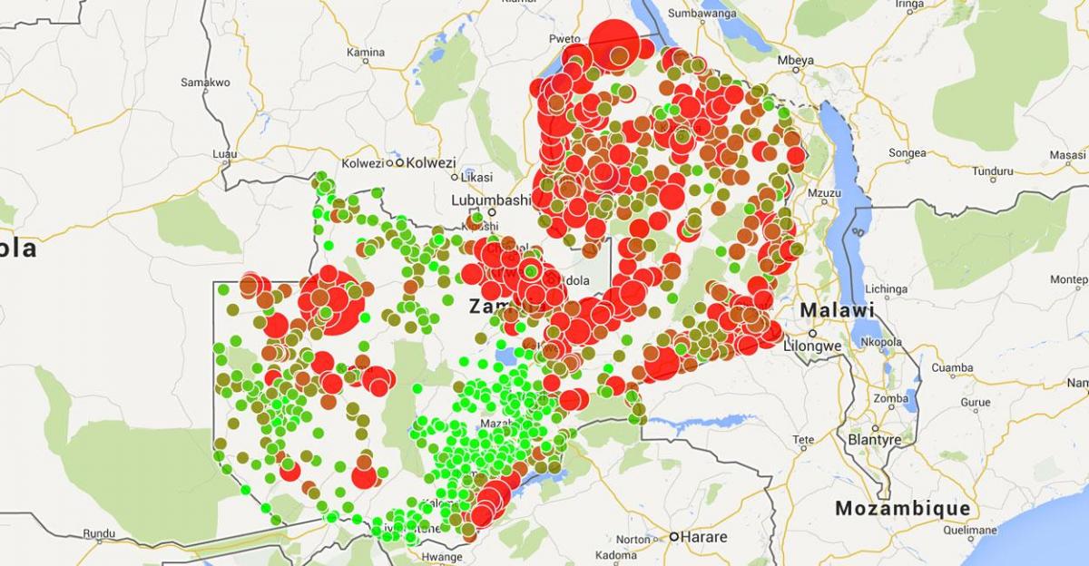 Malawi sıtma göster 
